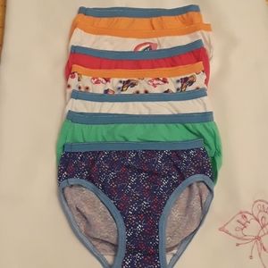 Hanes Girls' Cotton Classic Briefs size 6 NWOT